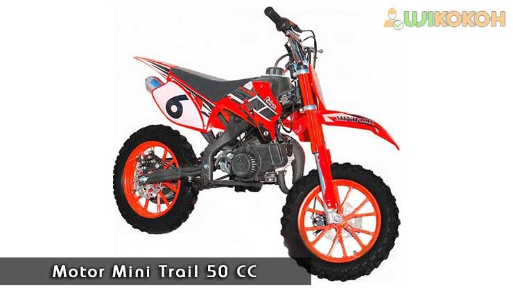 Motor Mini Trail 50 CC
